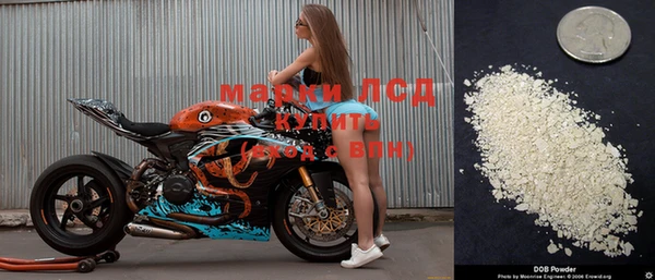 стафф Зеленодольск