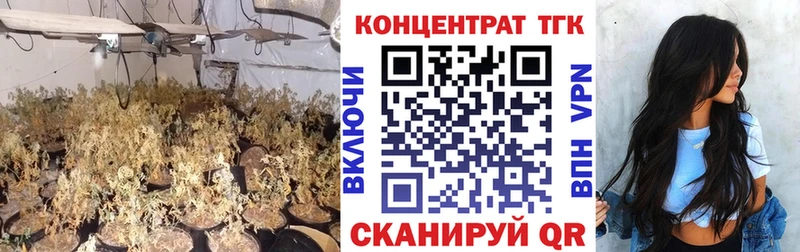 Купить где Спасск-Дальний ТГК THC oil